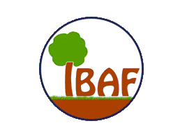 ibafcnr